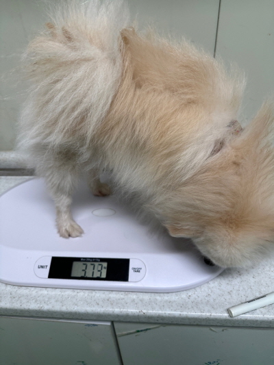 누리동물병원_426338202300040